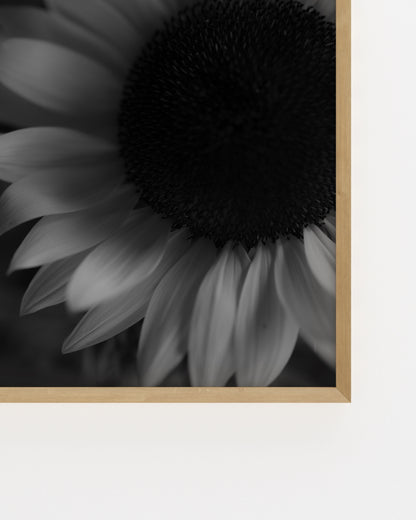 Moody Tones. Sunflower-printable wall art by Paperhus