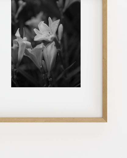 Moody Tones. Quiet Bloom-printable wall art by Paperhus