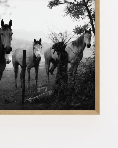 Moody Tones. Lekunberri-printable wall art by Paperhus