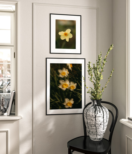 Daffodil Photography. Set Of 2 printable wall art by Paperhus