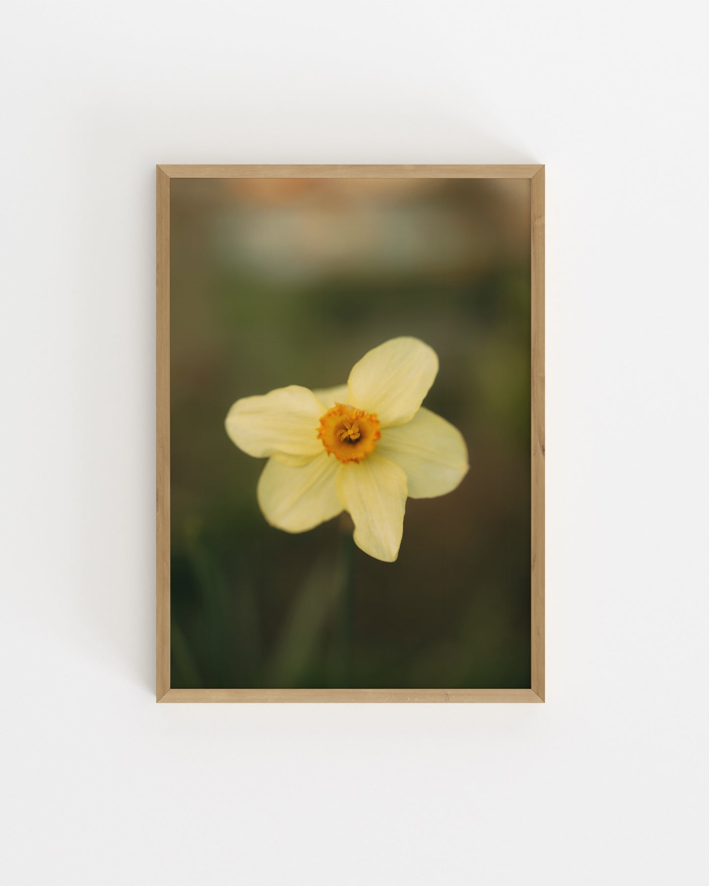 Countryside Studies. Daffodil-printable wall art by Paperhus