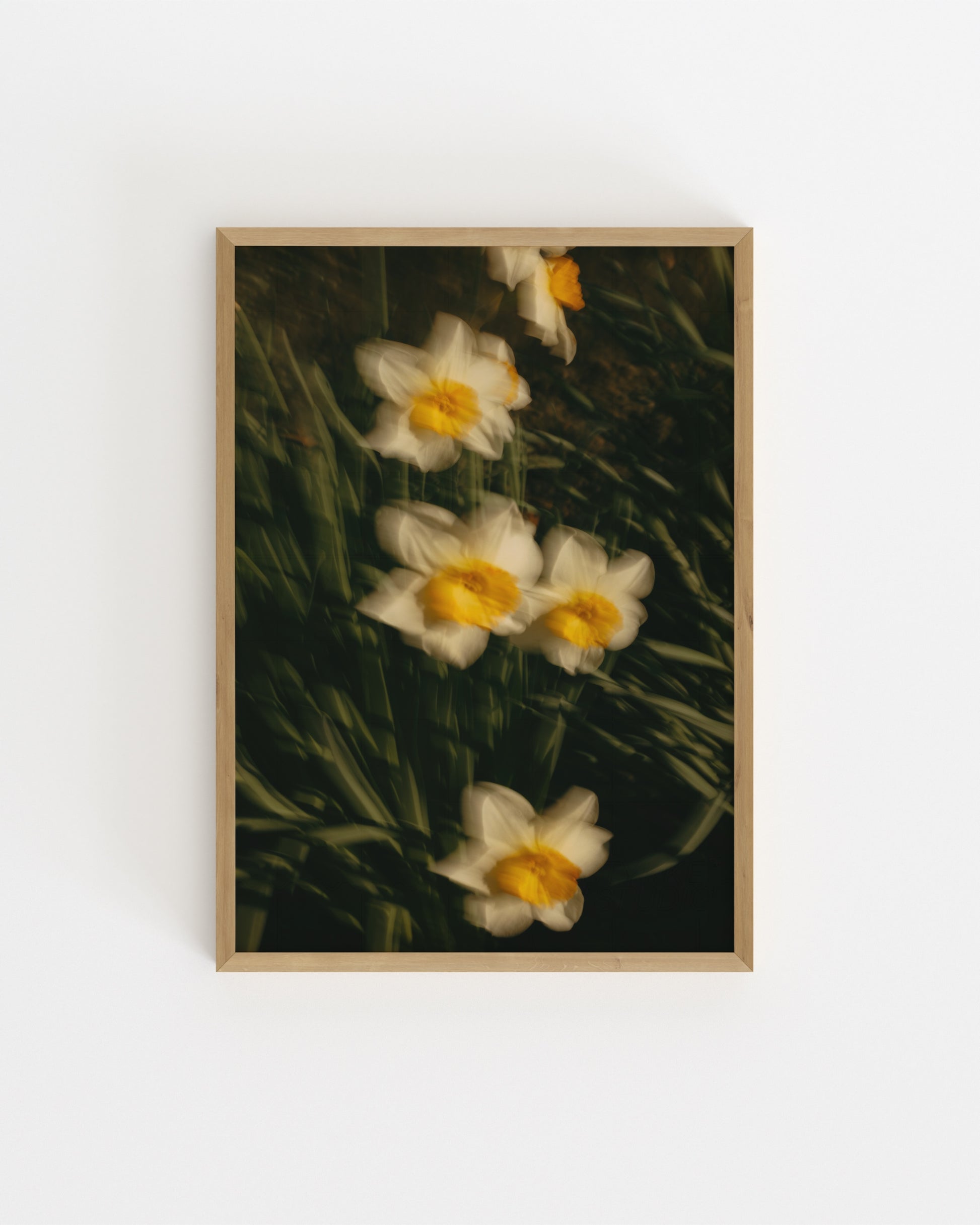 Countryside Studies. Daffodils-printable wall art by Paperhus