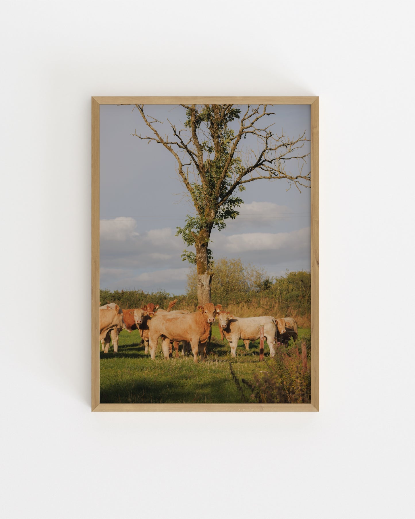 Countryside Studies. The Watchers-printable wall art by Paperhus