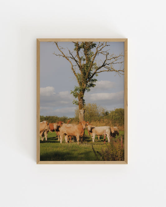 Countryside Studies. The Watchers-printable wall art by Paperhus