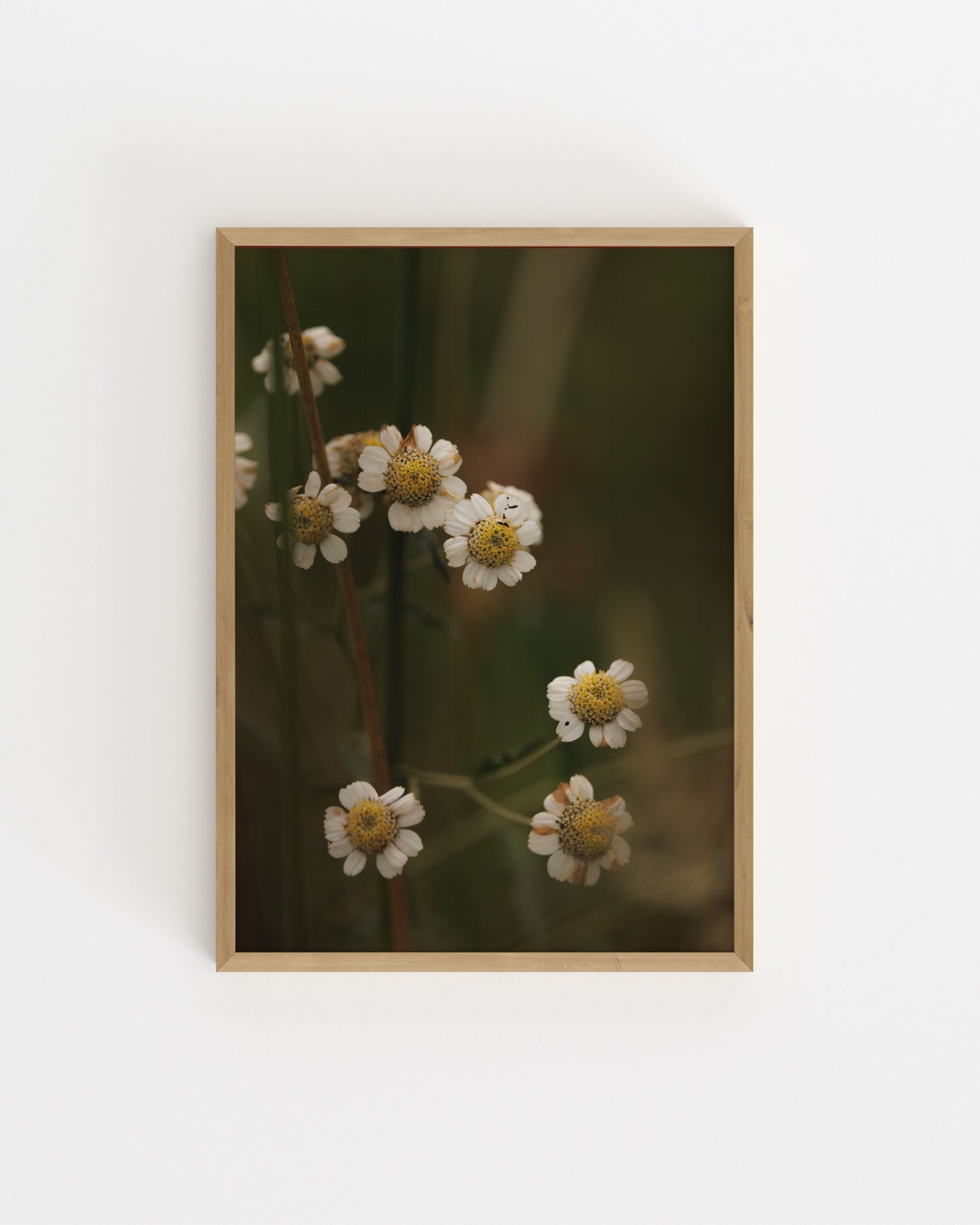 Countryside Studies. Rustic Florals-printable wall art by Paperhus