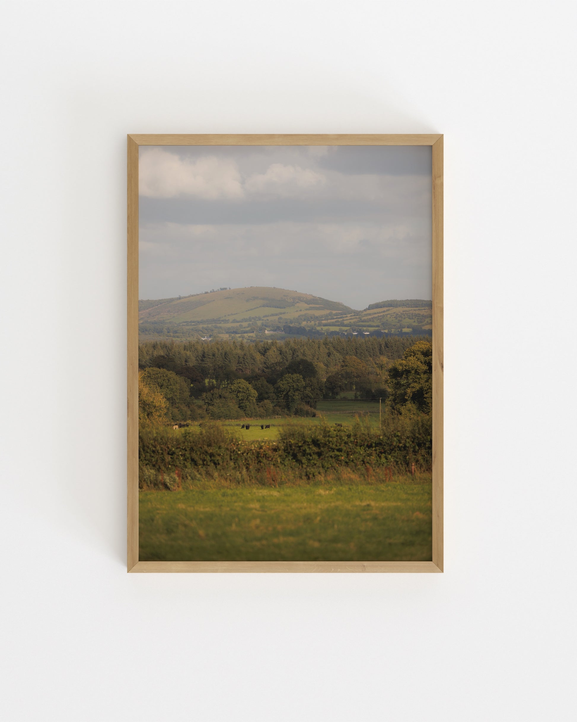 Countryside Studies. The Field-printable wall art by Paperhus