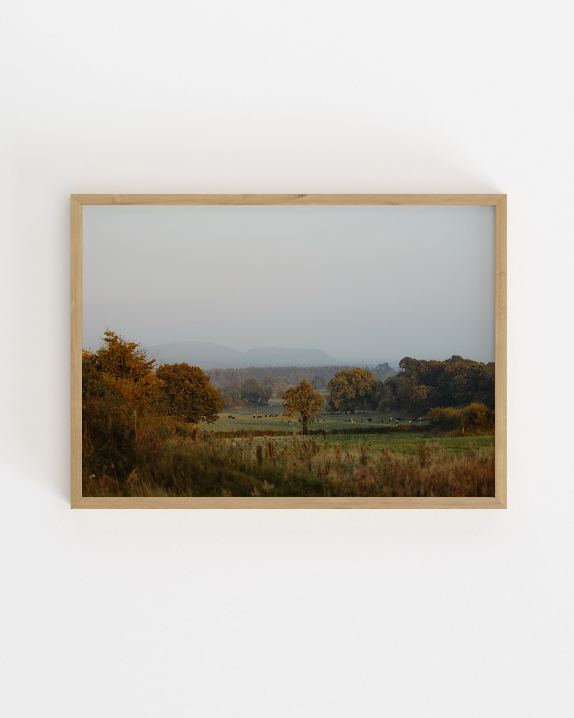 Countryside Studies. Irish Land-printable wall art by Paperhus