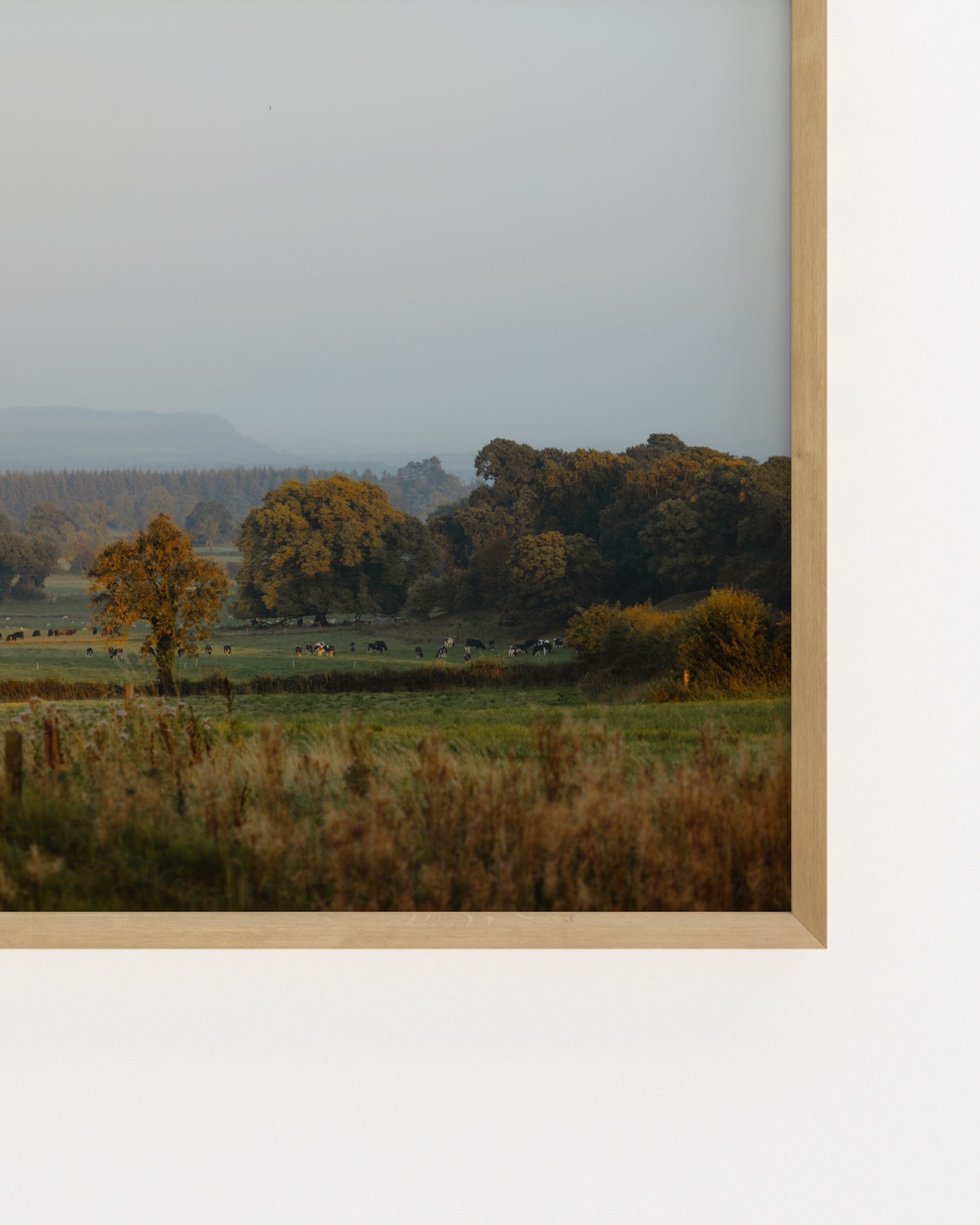 Countryside Studies. Irish Land-printable wall art by Paperhus