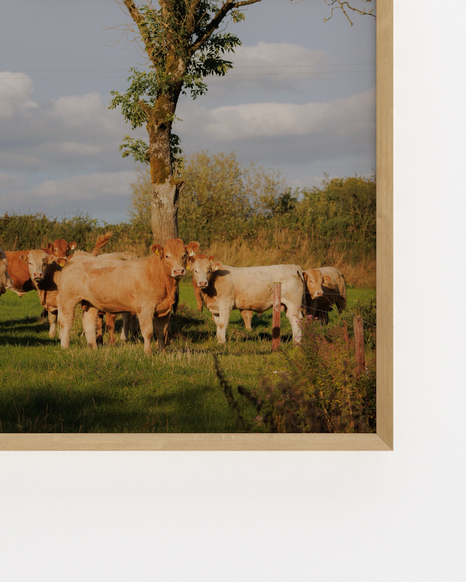 Countryside Studies. The Watchers-printable wall art by Paperhus