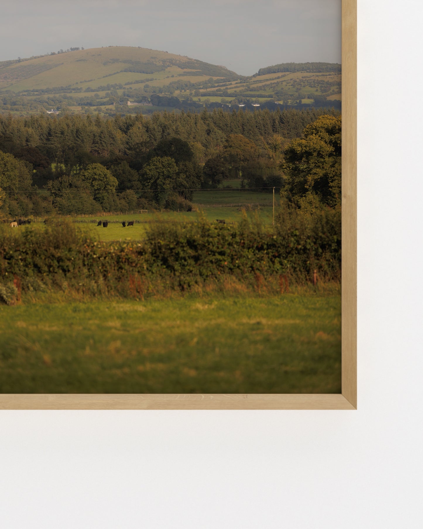 Countryside Studies. The Field-printable wall art by Paperhus