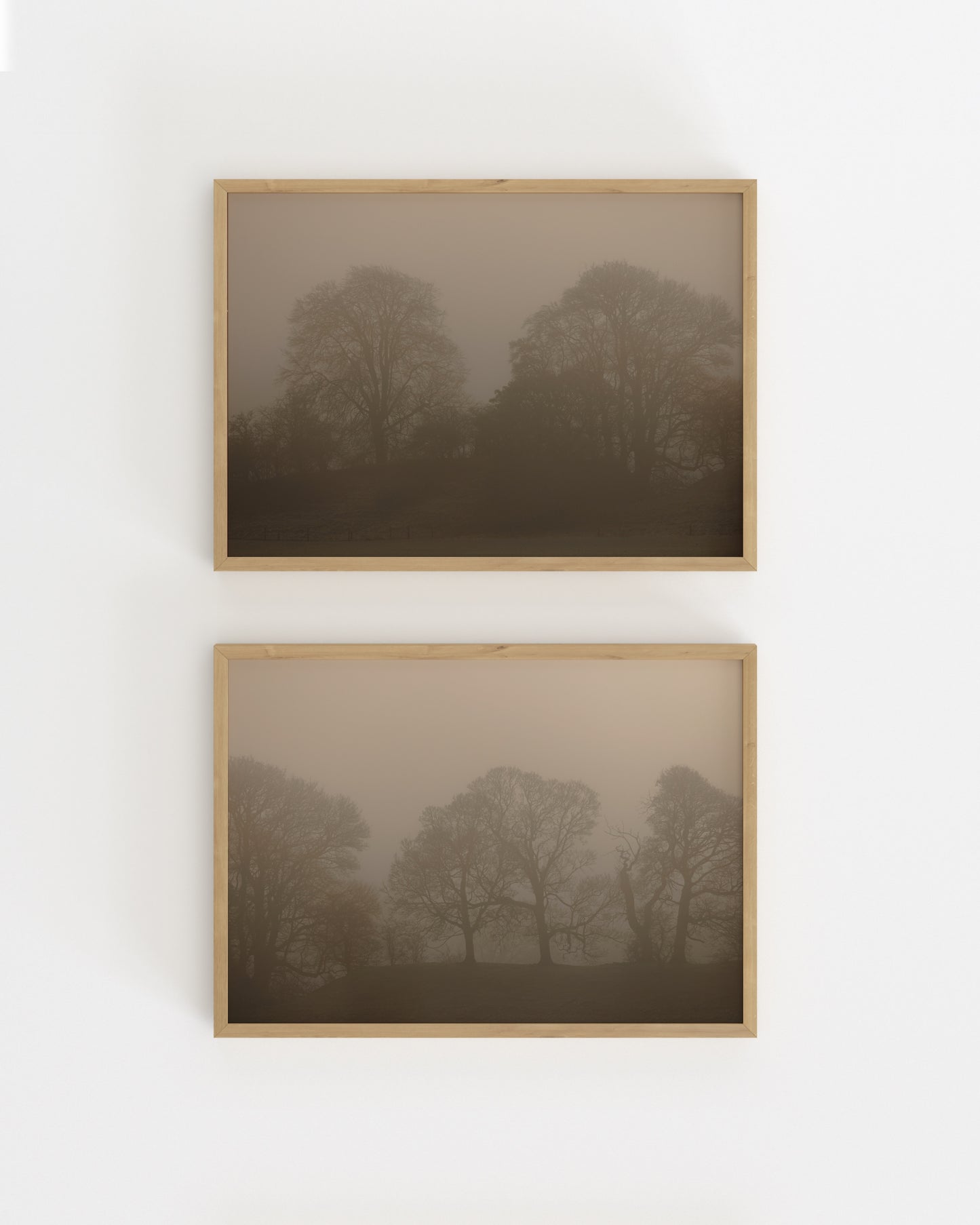 Woodland Photography. Set Of 2-printable wall art by Paperhus