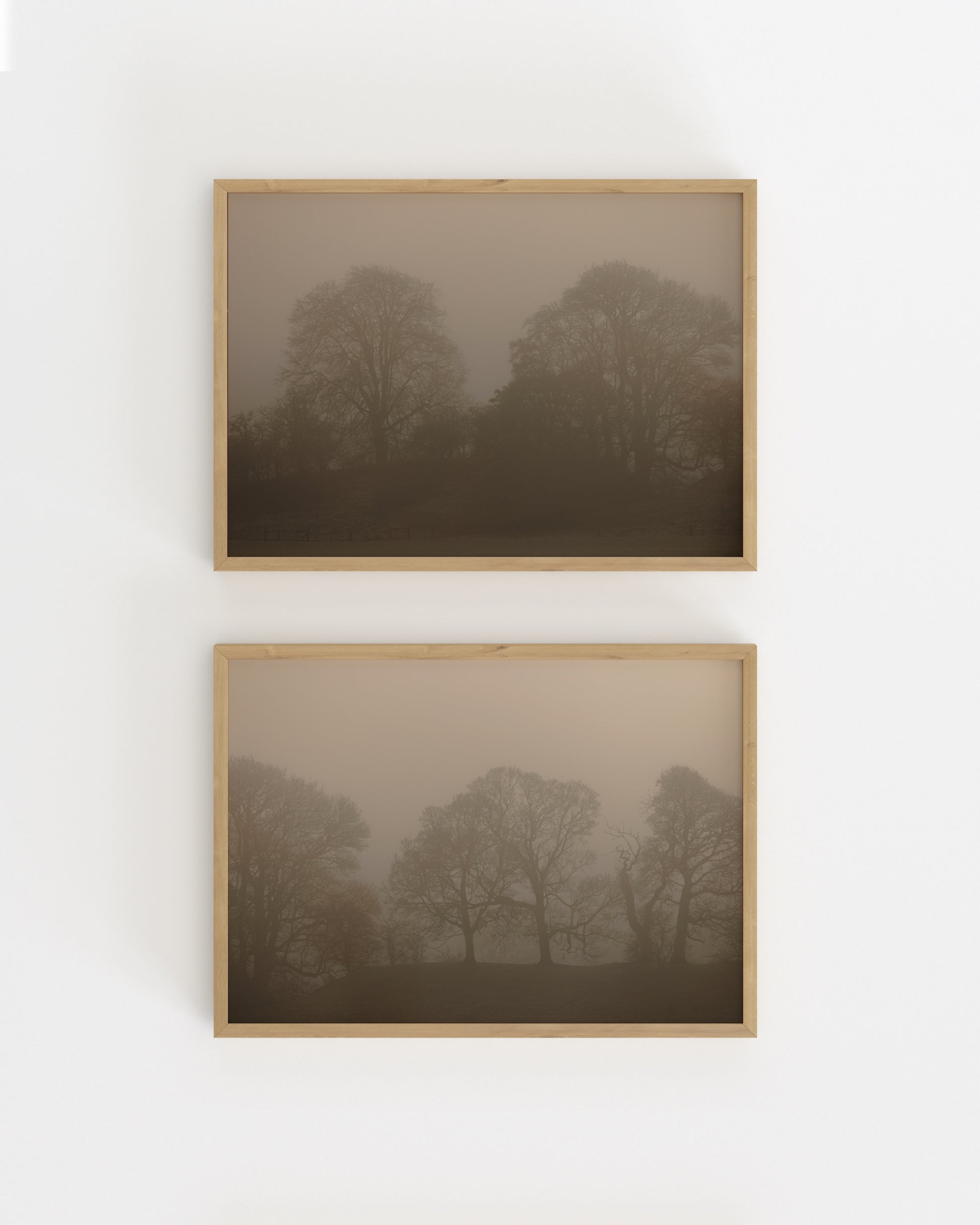 Woodland Photography. Set Of 2-printable wall art by Paperhus