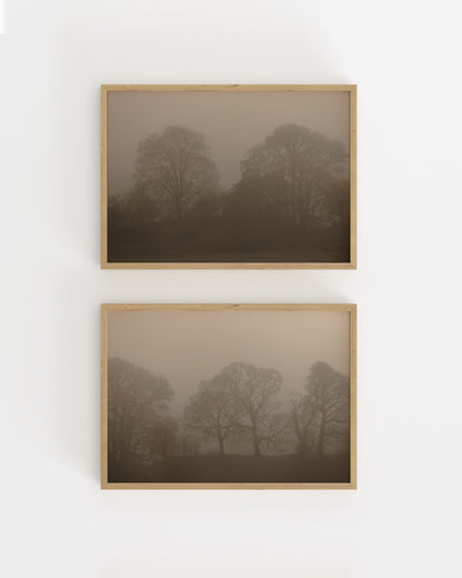 Woodland Photography. Set Of 2-printable wall art by Paperhus