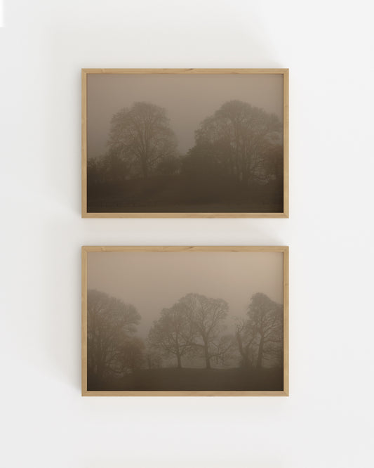 Woodland Photography. Set Of 2-printable wall art by Paperhus