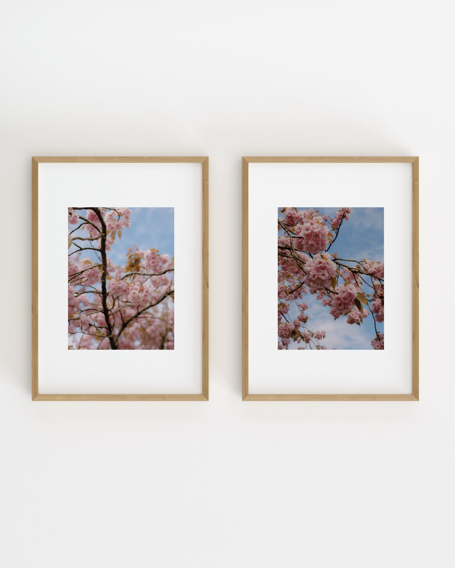 Spring In Bloom. Set Of 2-printable wall art by Paperhus