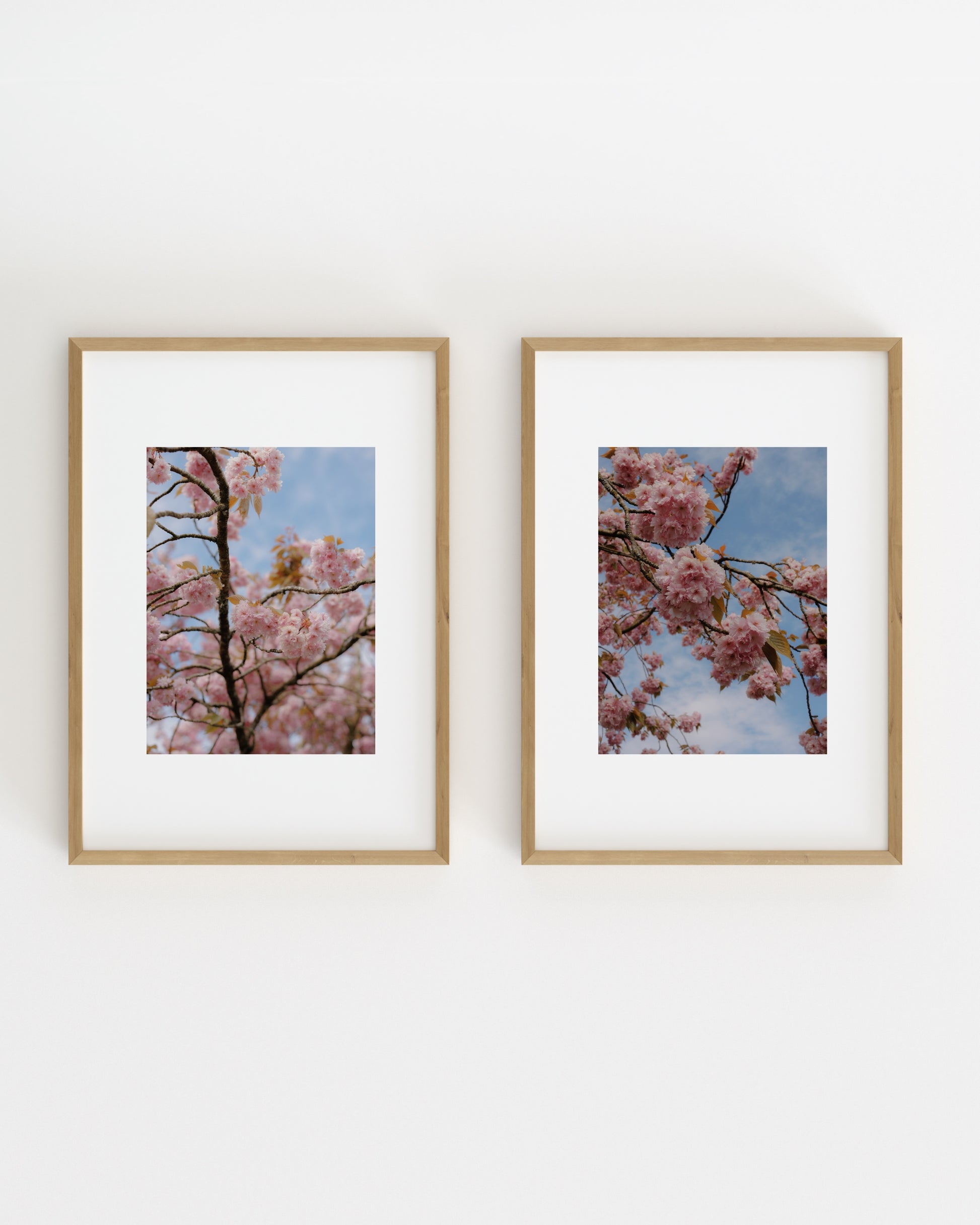 Spring In Bloom. Set Of 2-printable wall art by Paperhus