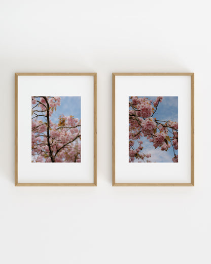 Spring In Bloom. Set Of 2-printable wall art by Paperhus