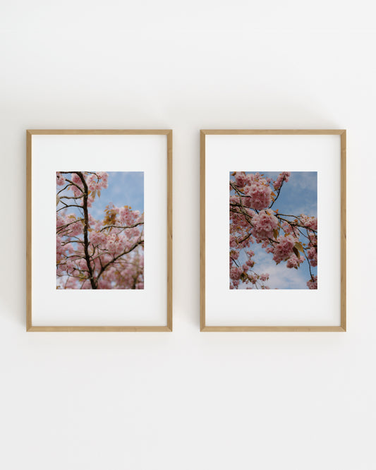 Spring In Bloom. Set Of 2-printable wall art by Paperhus