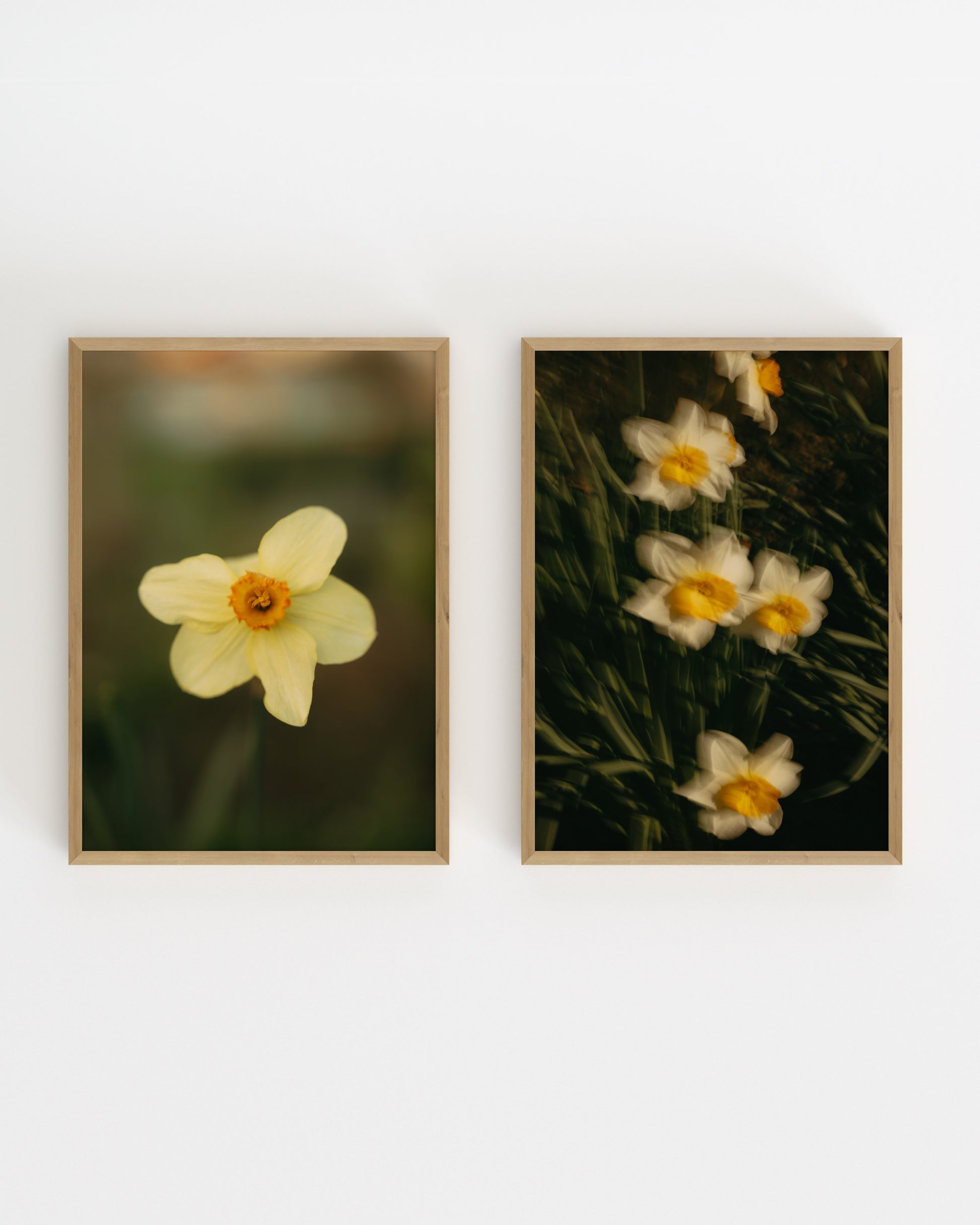 Daffodil Photography. Set Of 2-printable wall art by Paperhus