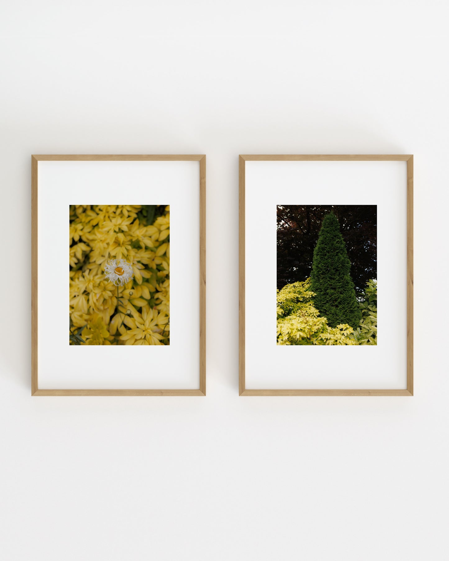 Botanical Photography. Set Of 2-printable wall art by Paperhus