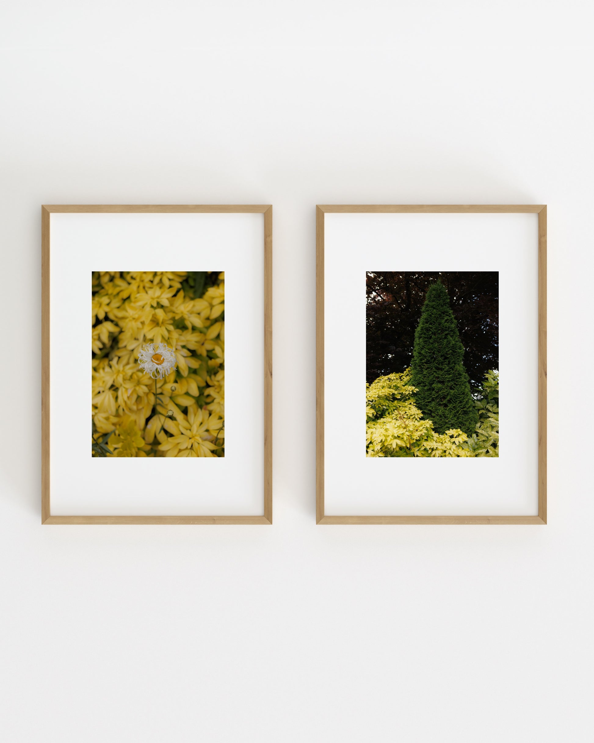 Botanical Photography. Set Of 2-printable wall art by Paperhus