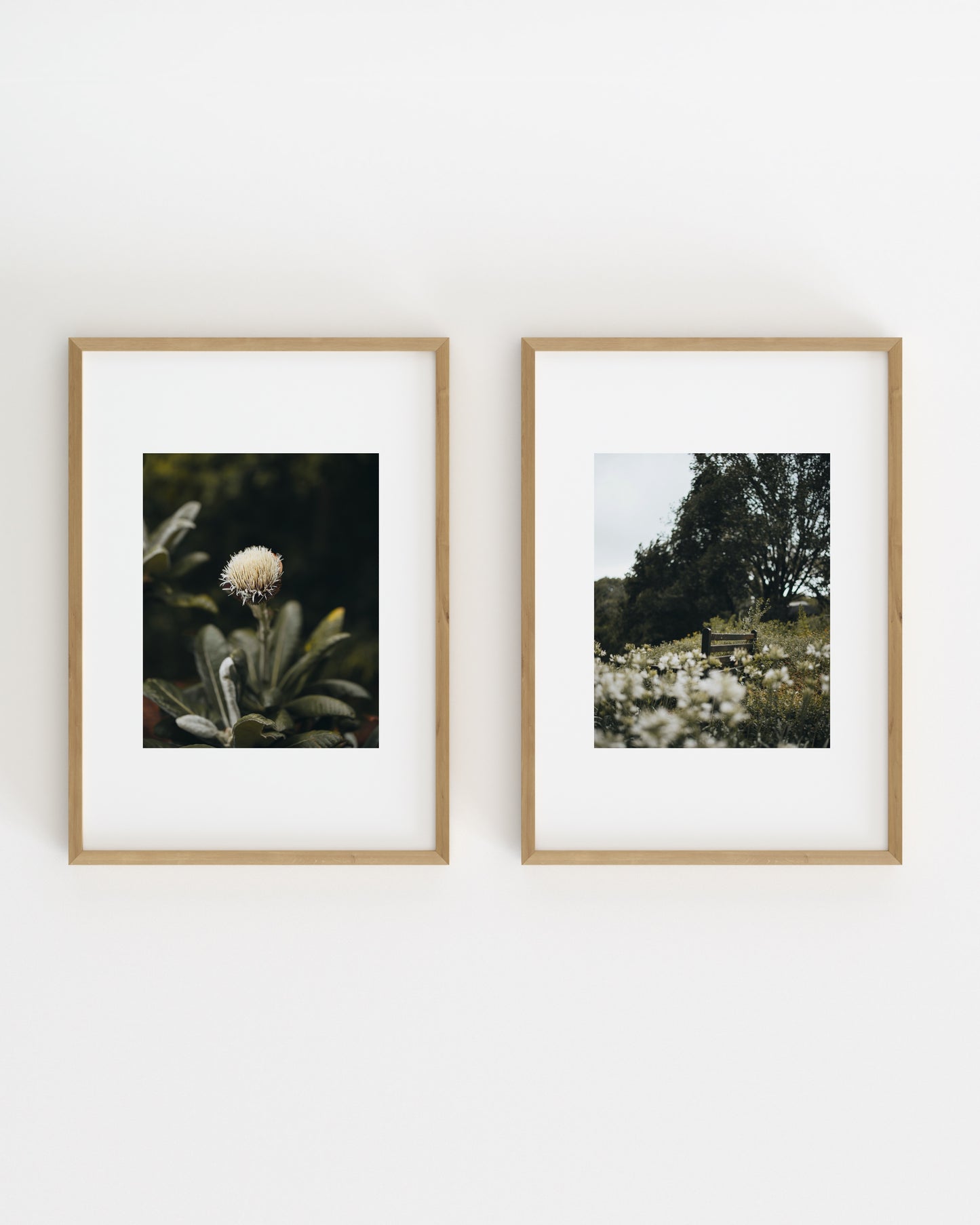 Botanical Photography. Set-printable wall art by Paperhus