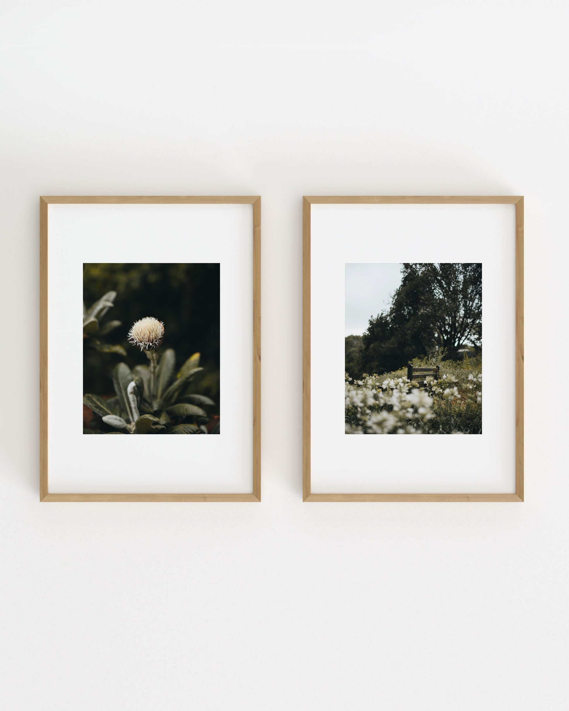 Botanical Photography. Set-printable wall art by Paperhus