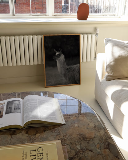 Moody Tones. Llama Portrait printable wall art by Paperhus