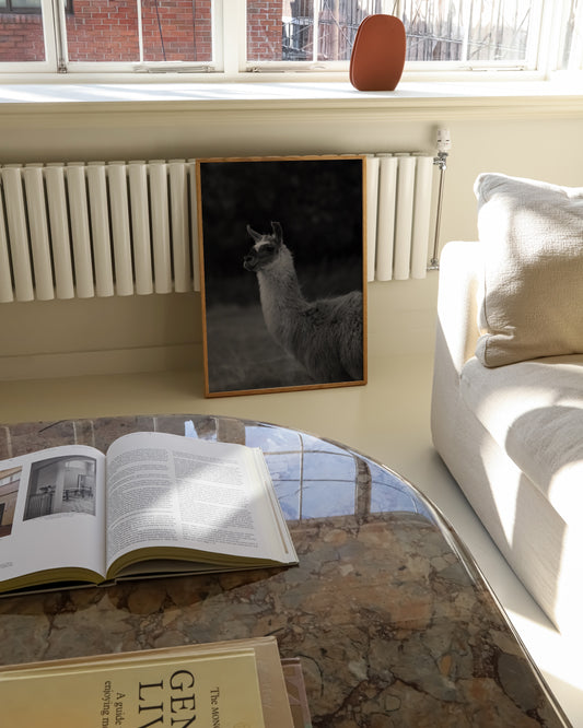 Moody Tones. Llama Portrait printable wall art by Paperhus