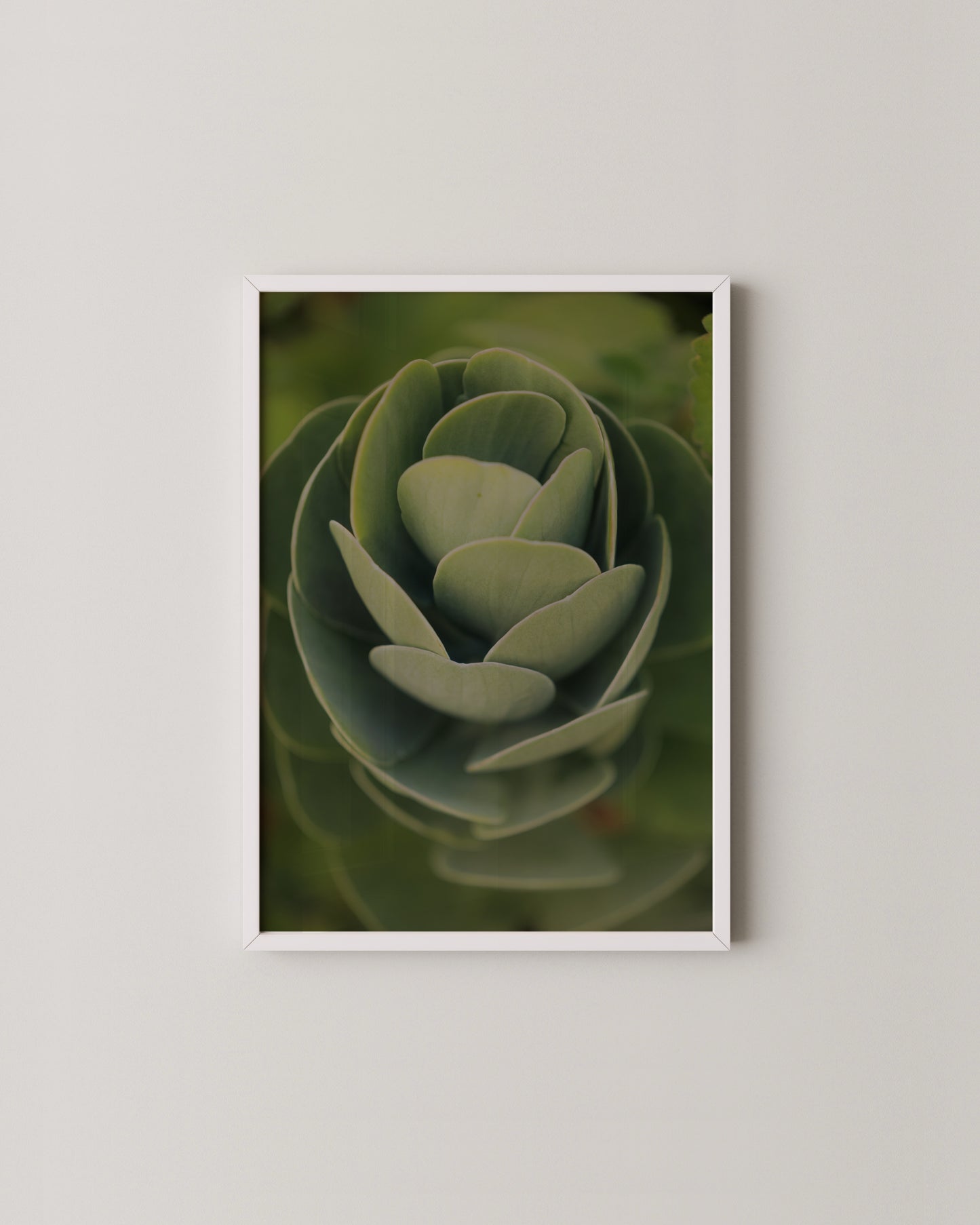 Colorful Pop- Wall Art -Paperhus- Printable wall art - Instant downloads - DIY home decor -Paperhus