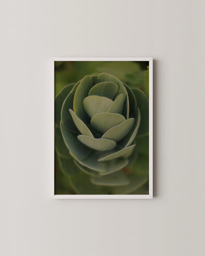 Colorful Pop- Wall Art -Paperhus- Printable wall art - Instant downloads - DIY home decor -Paperhus