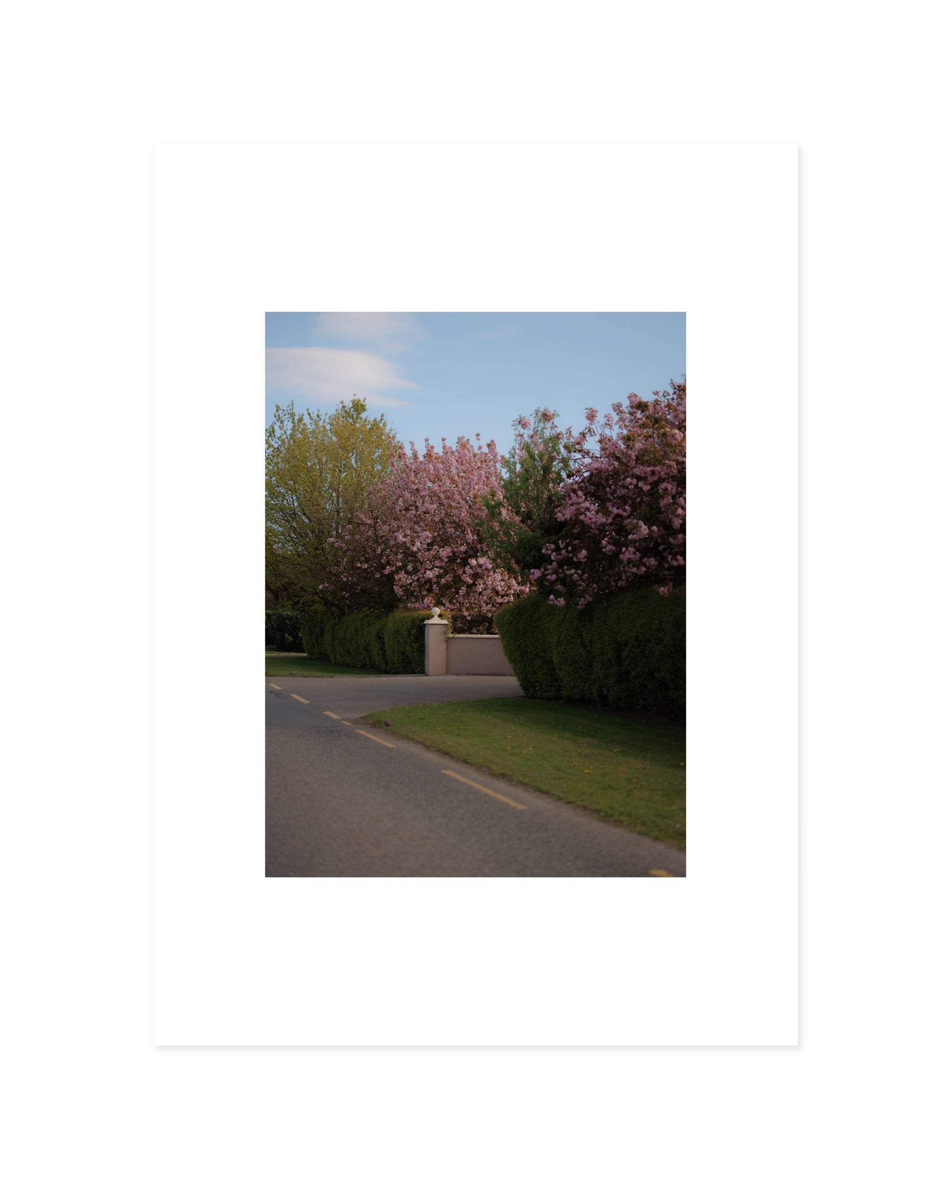 Spring In Bloom. Road Scene printable wall art by Paperhus