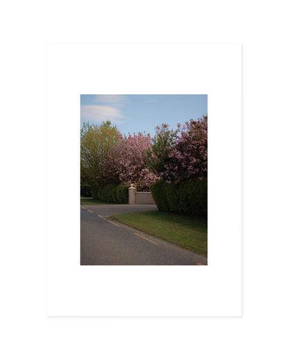 Spring In Bloom. Road Scene printable wall art by Paperhus