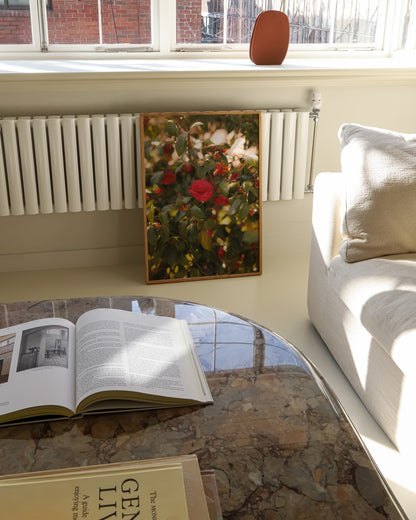 Flower Photography Printable Wall Art | Digital Download printable wall art by Paperhus