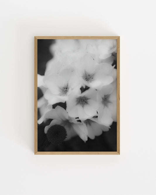 Free Print printable wall art by Paperhus